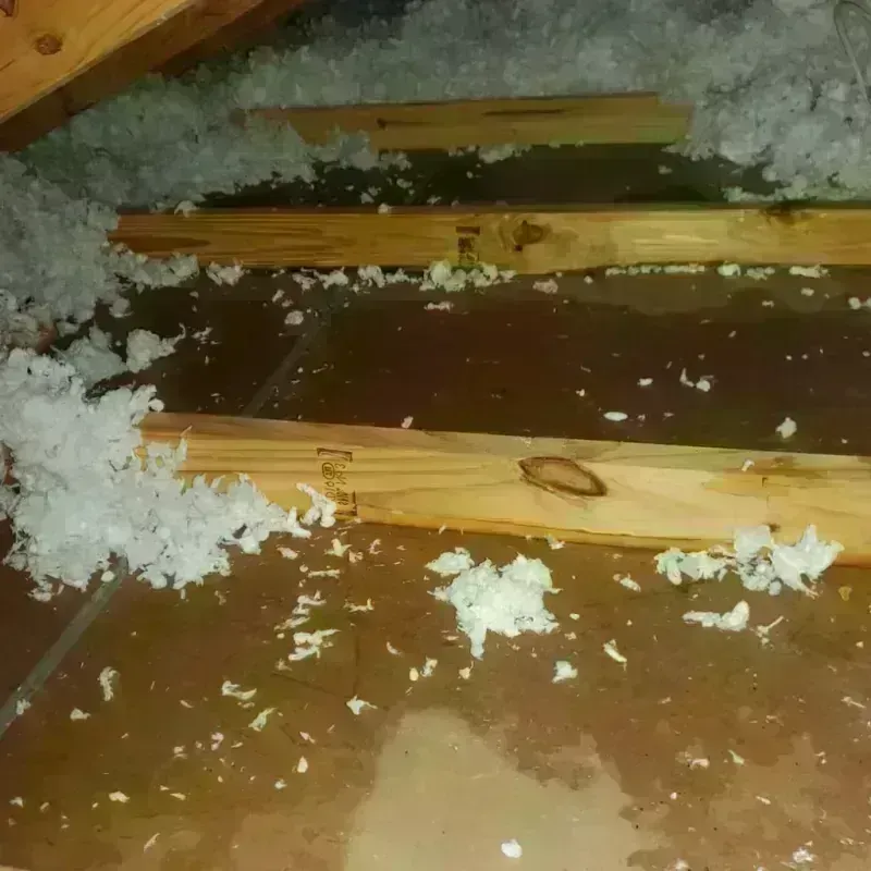 Attic Water Damage in Plymouth, MA