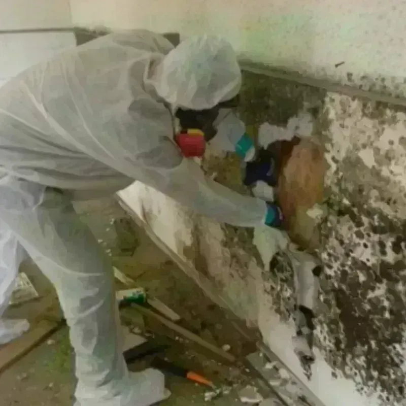 Mold Remediation and Removal in Plymouth, MA